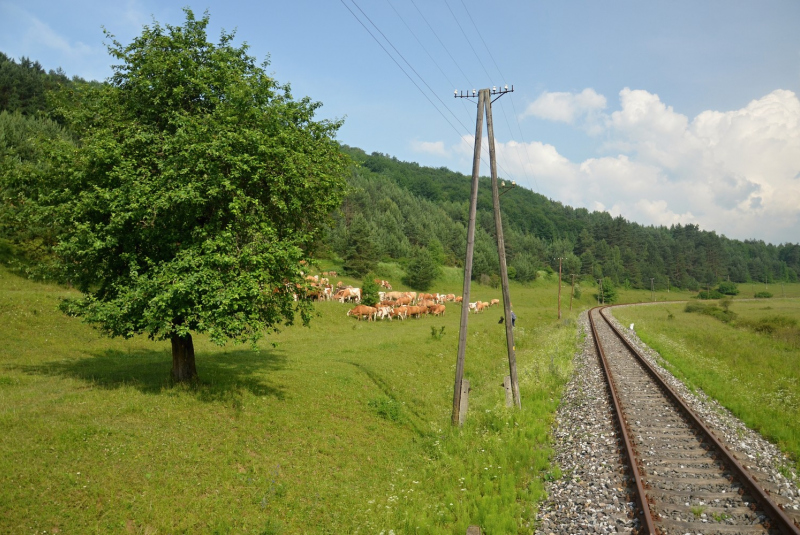 Vlakom za UNESCOM: Gotický Spiš