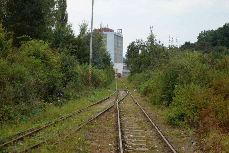 Vlakom na Bardejovský jarmok